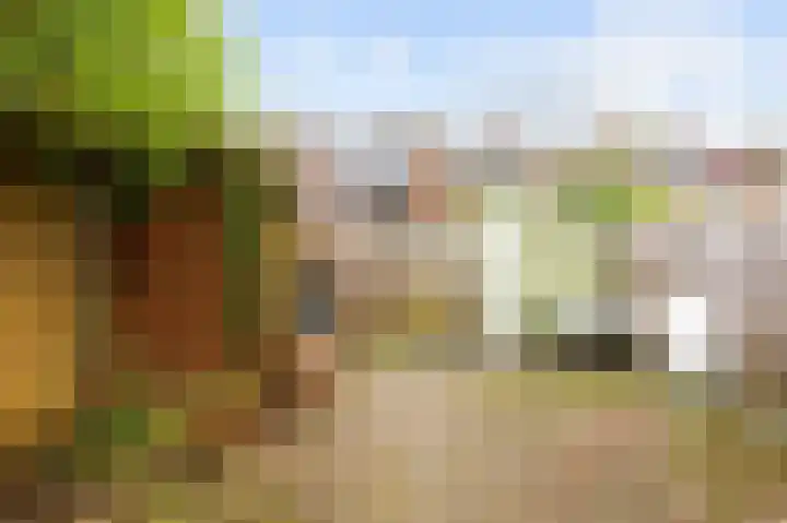 Populierenlaan 52 Groningen thumbnail 46