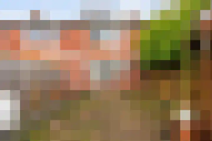 Populierenlaan 52 Groningen thumbnail 47