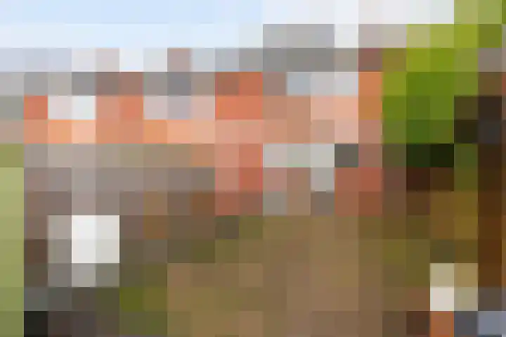 Populierenlaan 52 Groningen thumbnail 48