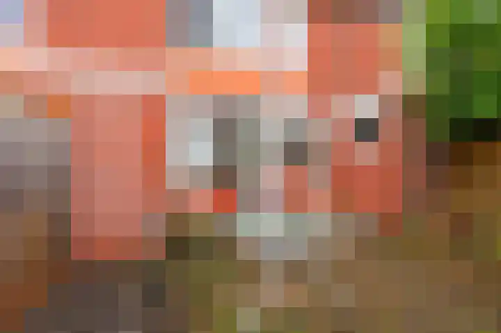 Populierenlaan 52 Groningen thumbnail 49