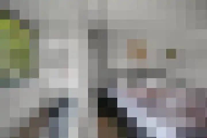 Populierenlaan 53 Amstelveen thumbnail 18