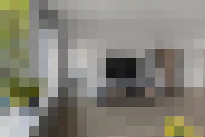 Populierenlaan 53 Amstelveen thumbnail 6