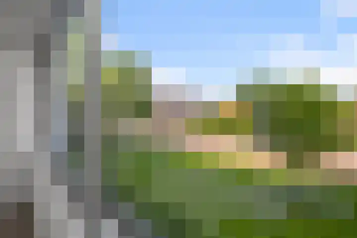 Populierenlaan 53 Amstelveen thumbnail 8