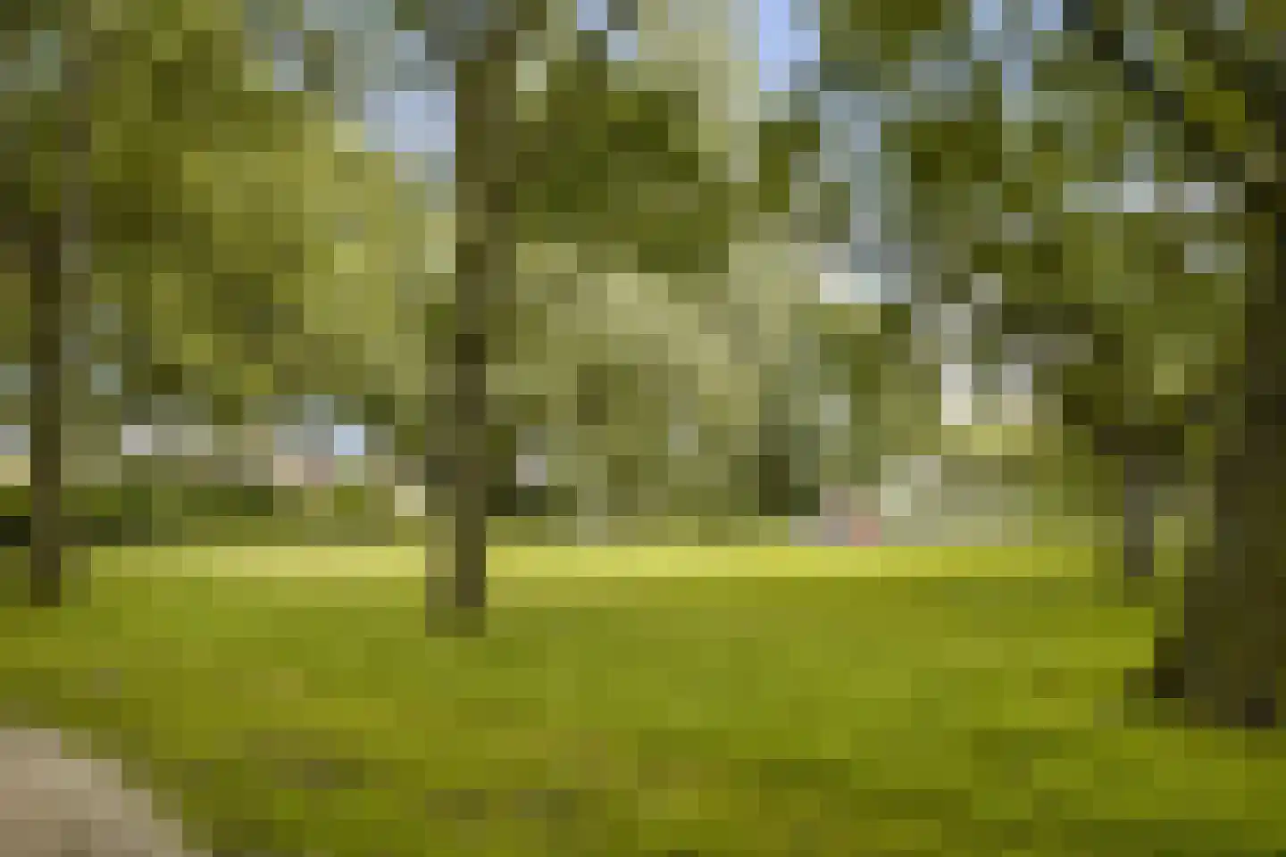 Populierenlaan 537 Amstelveen thumbnail 24