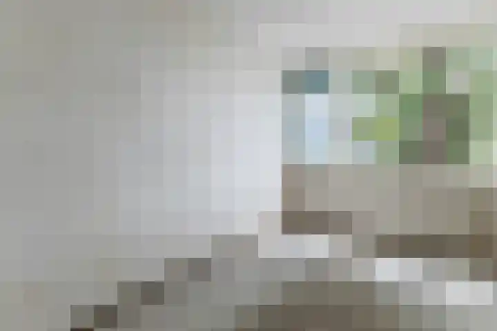Populierenlaan 54 Schagen thumbnail 26