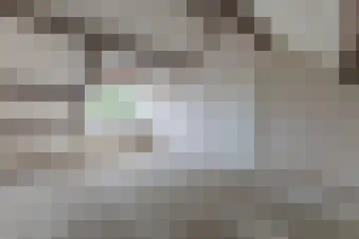 Populierenlaan 54 Schagen thumbnail 41