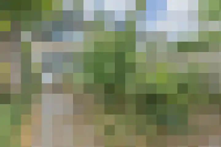 Populierenlaan 54 Schagen thumbnail 46