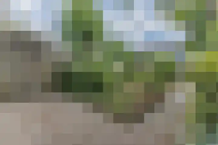 Populierenlaan 54 Schagen thumbnail 47