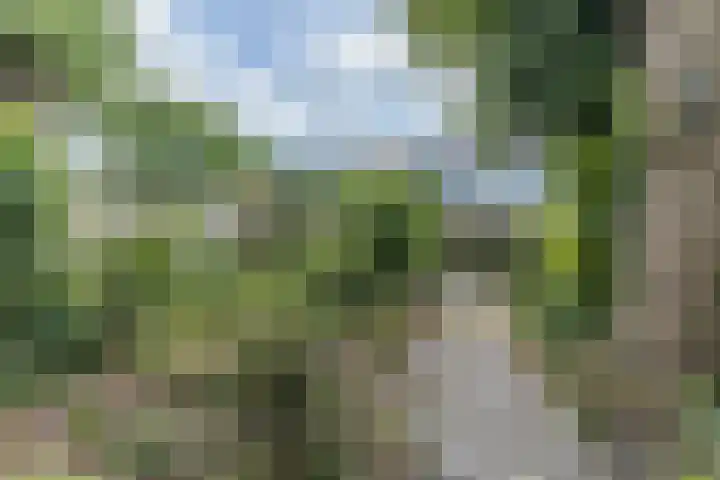 Populierenlaan 54 Schagen thumbnail 48
