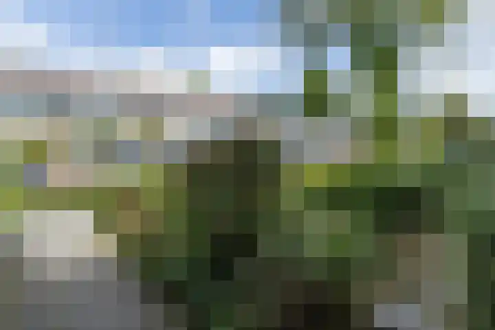 Populierenlaan 54 Schagen thumbnail 51