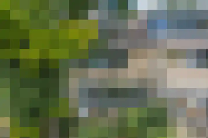 Populierenlaan 54 Schagen thumbnail 52