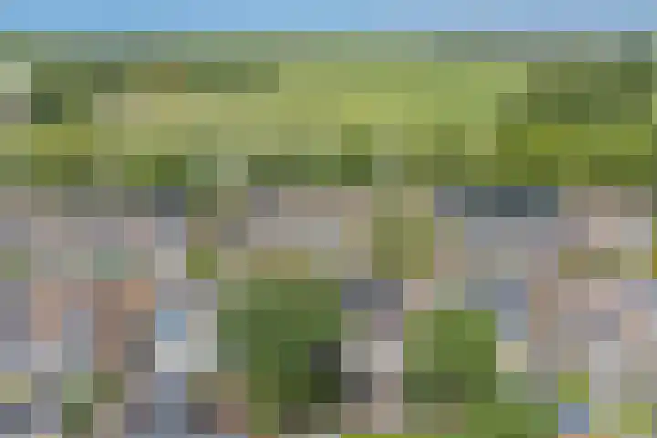 Populierenlaan 54 Schagen thumbnail 55