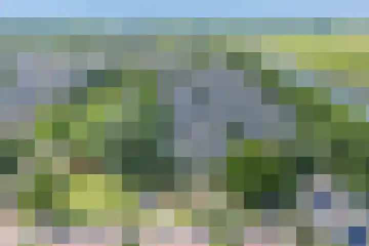 Populierenlaan 54 Schagen thumbnail 58