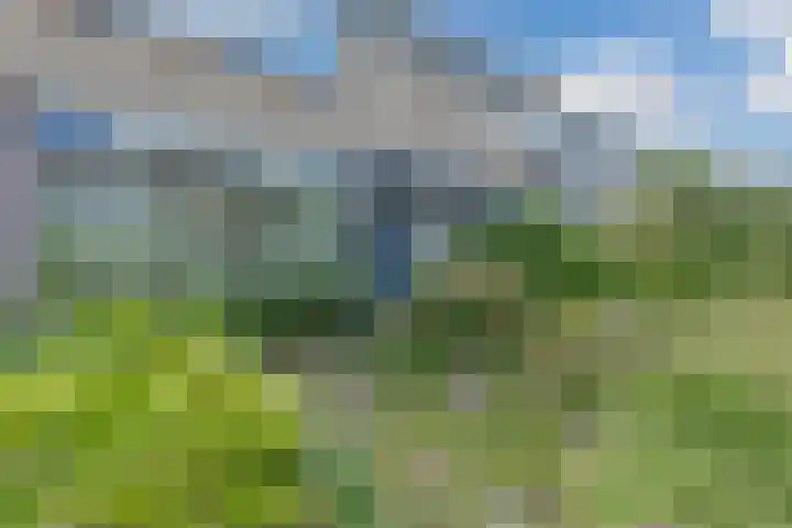 Populierenlaan 54 Schagen thumbnail 9