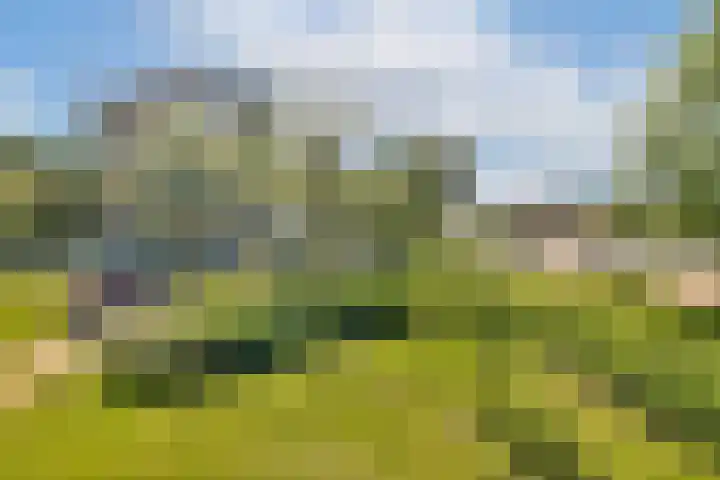 Populierenlaan 549 Amstelveen thumbnail 15