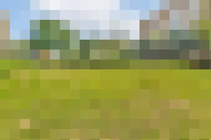 Populierenlaan 549 Amstelveen thumbnail 27