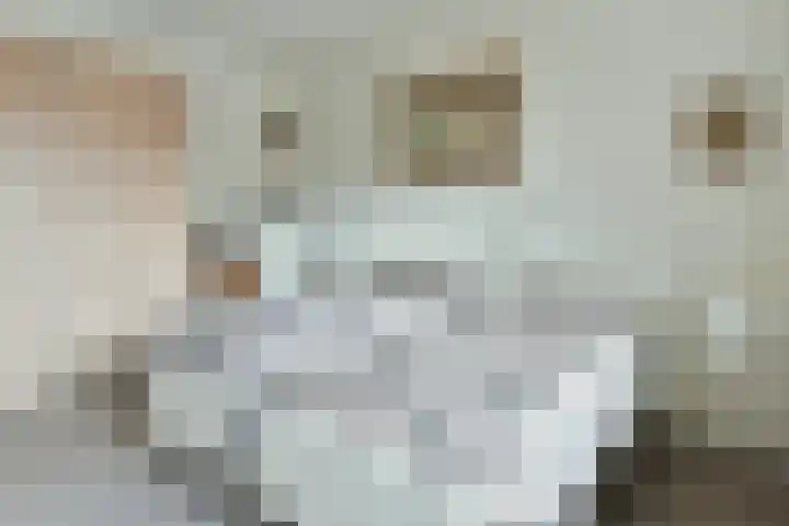 Populierenlaan 551 Amstelveen thumbnail 13