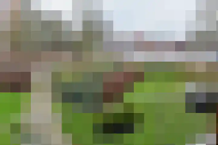 Populierenlaan 551 Amstelveen thumbnail 18