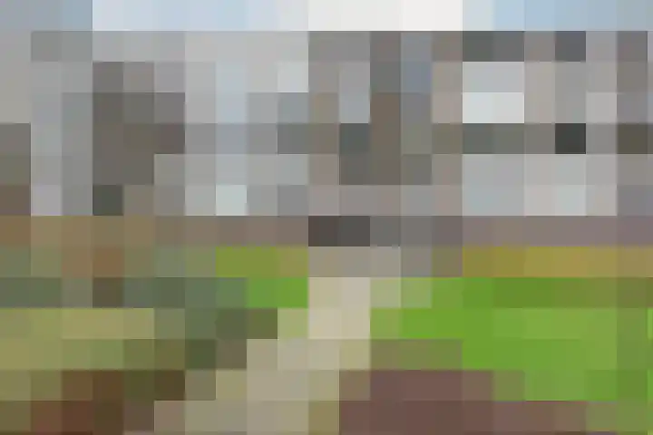 Populierenlaan 551 Amstelveen thumbnail 20