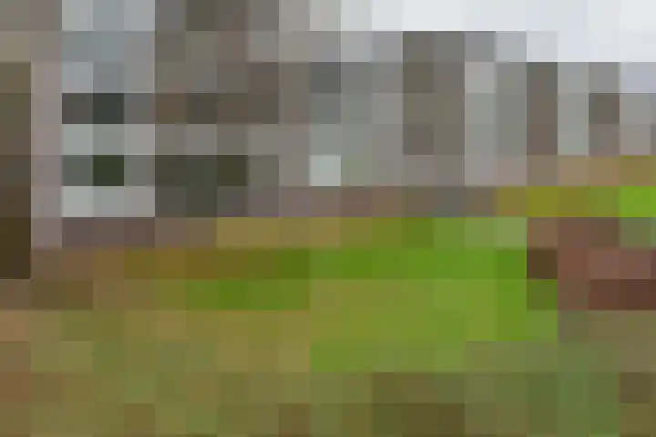 Populierenlaan 551 Amstelveen thumbnail 21