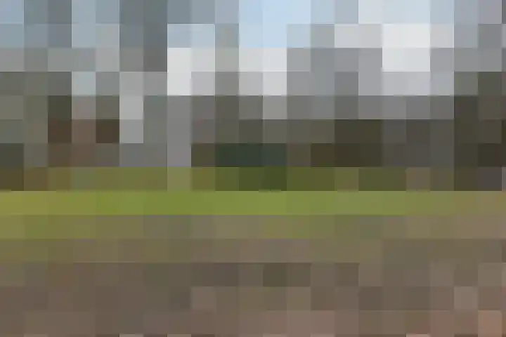 Populierenlaan 551 Amstelveen thumbnail 24