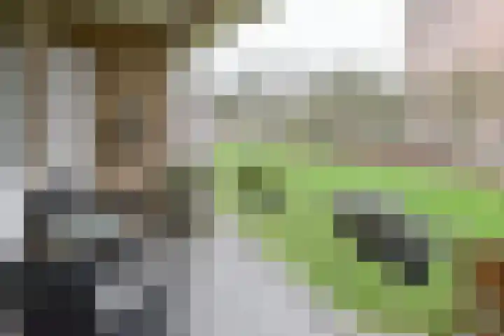 Populierenlaan 551 Amstelveen thumbnail 4