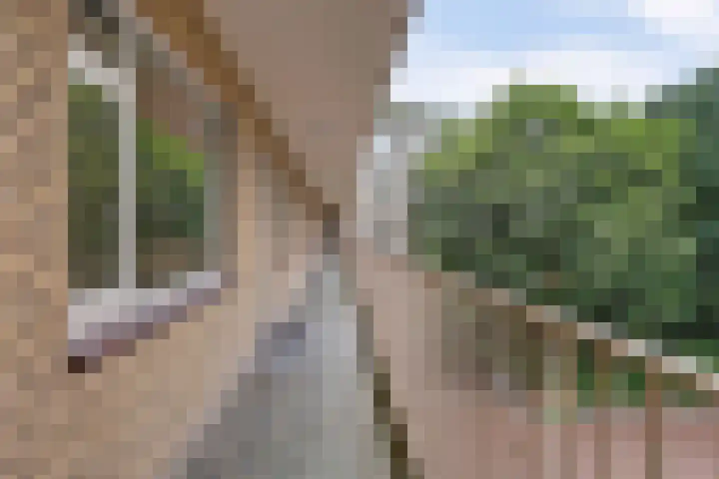 Populierenlaan 569 Amstelveen thumbnail 8
