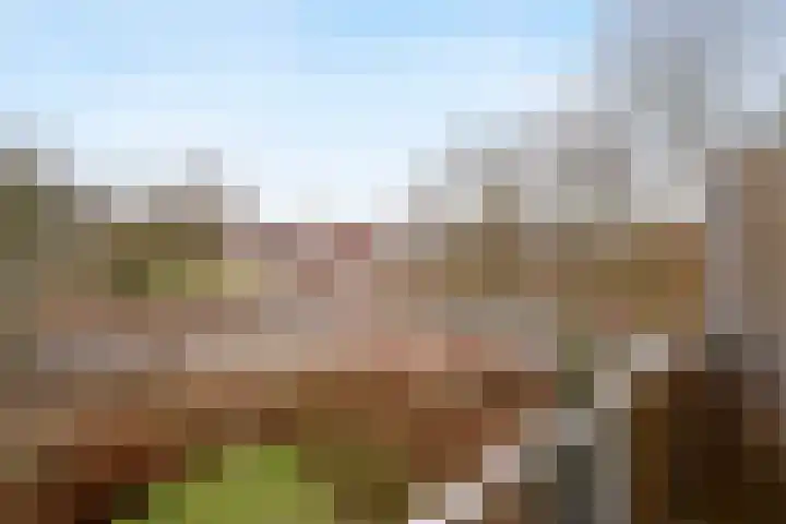 Populierenlaan 581 Amstelveen thumbnail 23