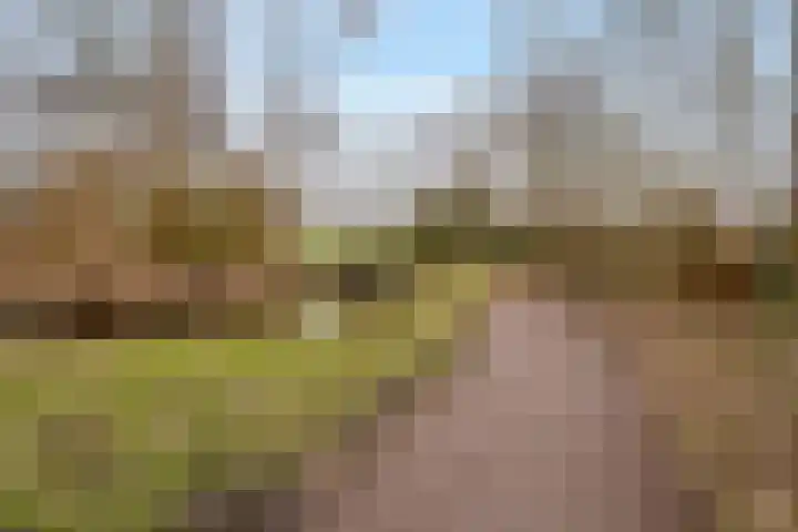 Populierenlaan 581 Amstelveen thumbnail 43