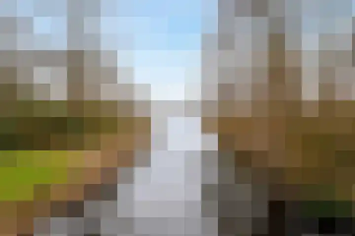 Populierenlaan 581 Amstelveen thumbnail 44