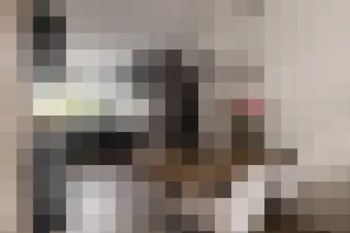 Populierenlaan 61 Zwanenburg thumbnail 17