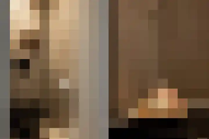 Populierenlaan 61 Zwanenburg thumbnail 27