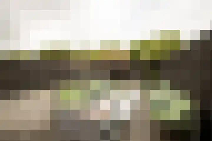 Populierenlaan 61 Zwanenburg thumbnail 30