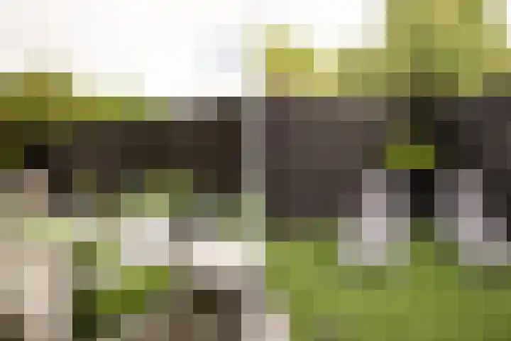 Populierenlaan 61 Zwanenburg thumbnail 31