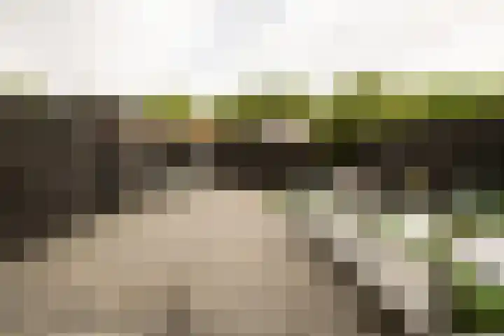 Populierenlaan 61 Zwanenburg thumbnail 32