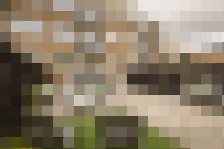 Populierenlaan 61 Zwanenburg thumbnail 33
