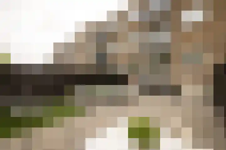 Populierenlaan 61 Zwanenburg thumbnail 34