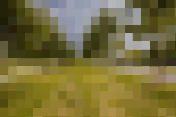 Populierenlaan 61 Zwanenburg thumbnail 38