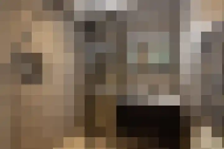 Populierenlaan 61 Zwanenburg thumbnail 4