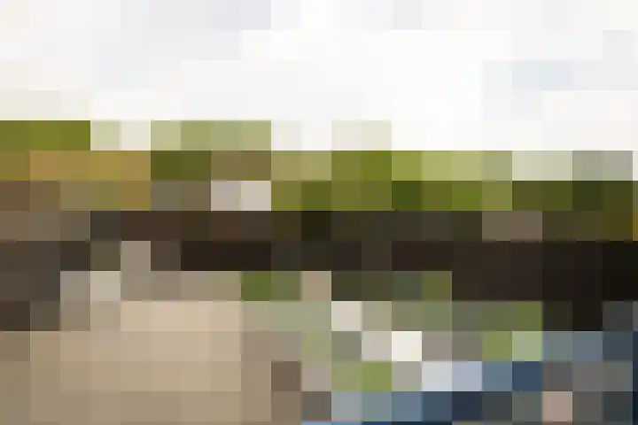 Populierenlaan 61 Zwanenburg thumbnail 5