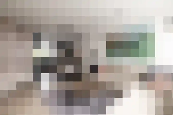 Populierenlaan 61 Zwanenburg thumbnail 8