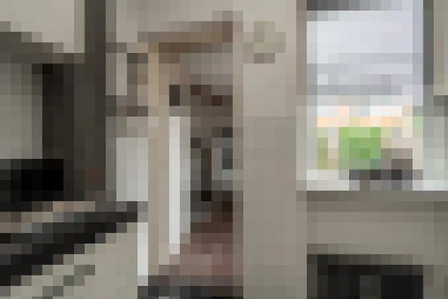 Populierenlaan 66 Groningen thumbnail 15
