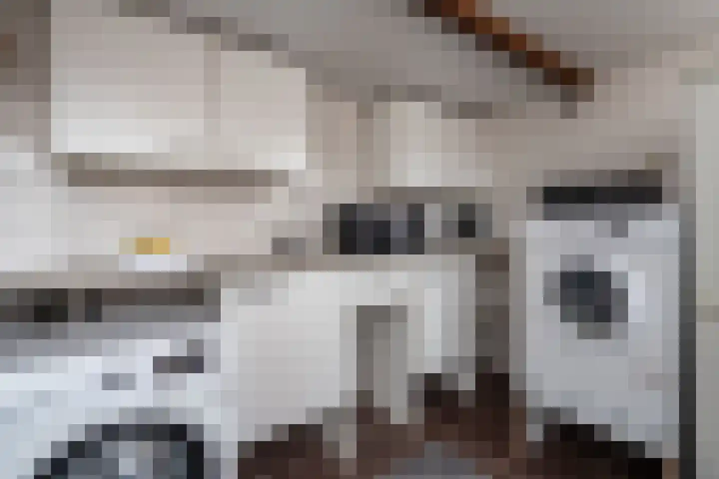 Populierenlaan 66 Groningen thumbnail 16