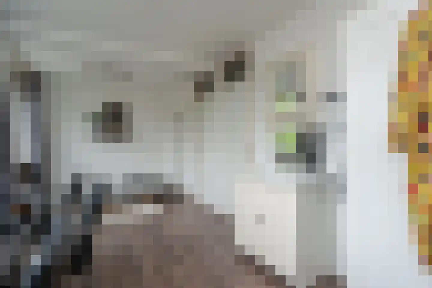 Populierenlaan 66 Groningen thumbnail 20
