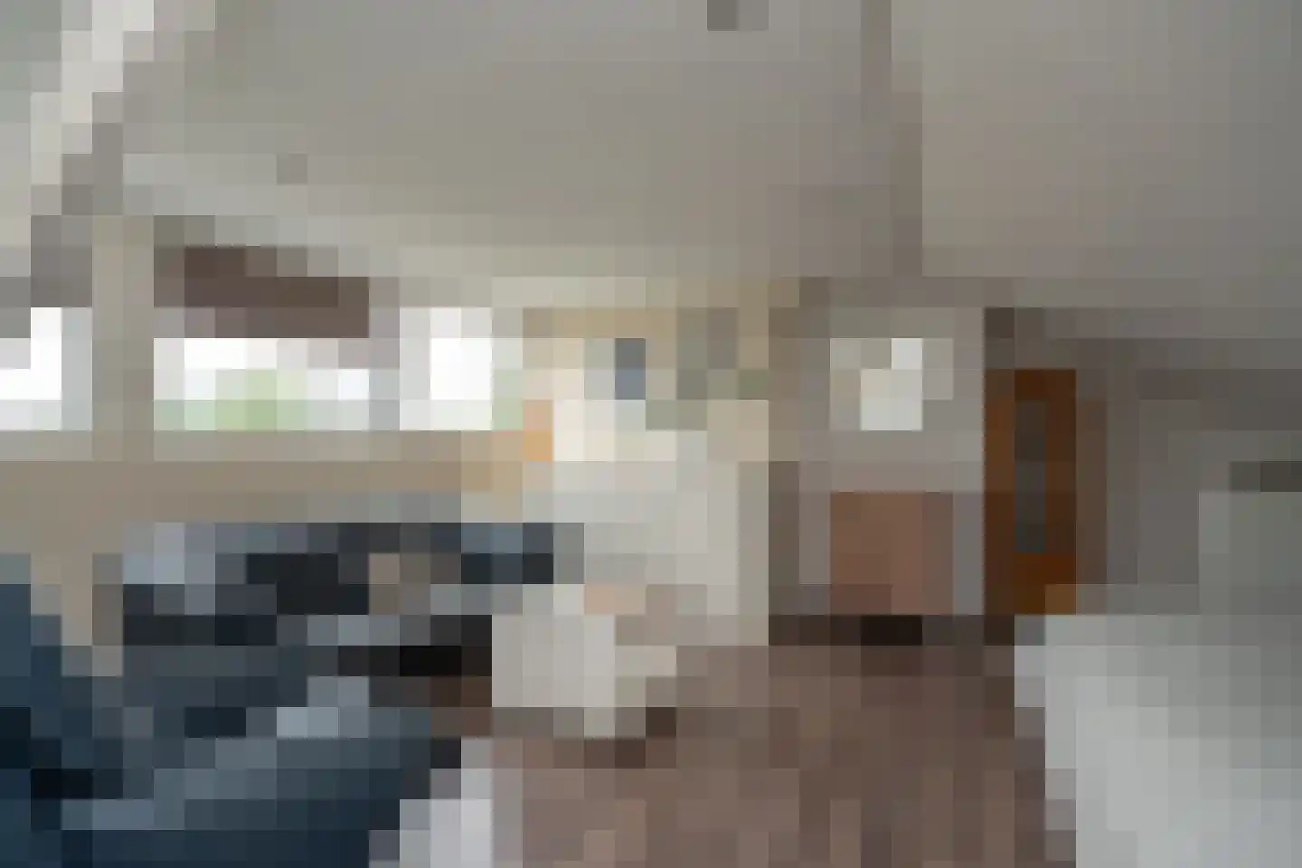Populierenlaan 66 Groningen thumbnail 33