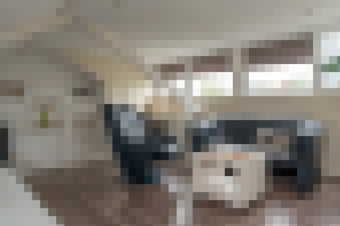 Populierenlaan 66 Groningen thumbnail 34