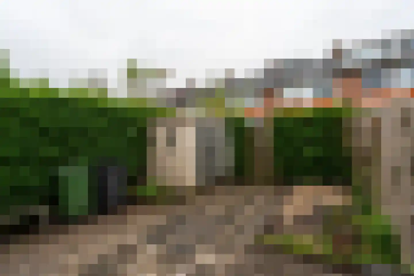 Populierenlaan 66 Groningen thumbnail 37