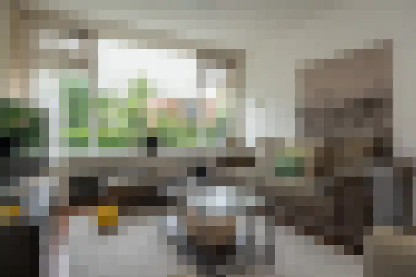 Populierenlaan 66 Groningen thumbnail 5