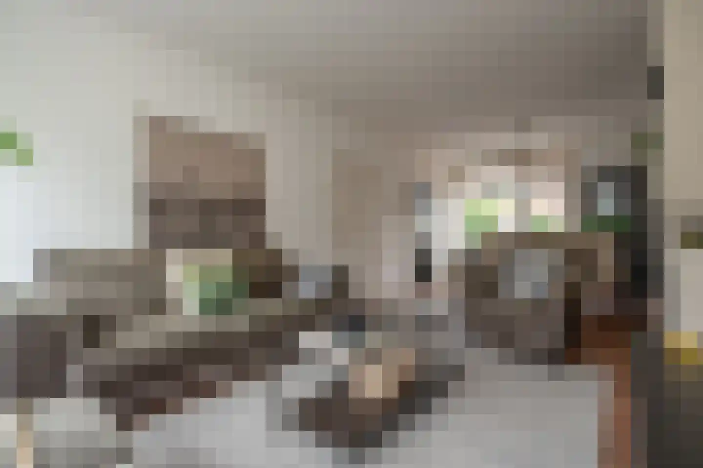 Populierenlaan 66 Groningen thumbnail 6
