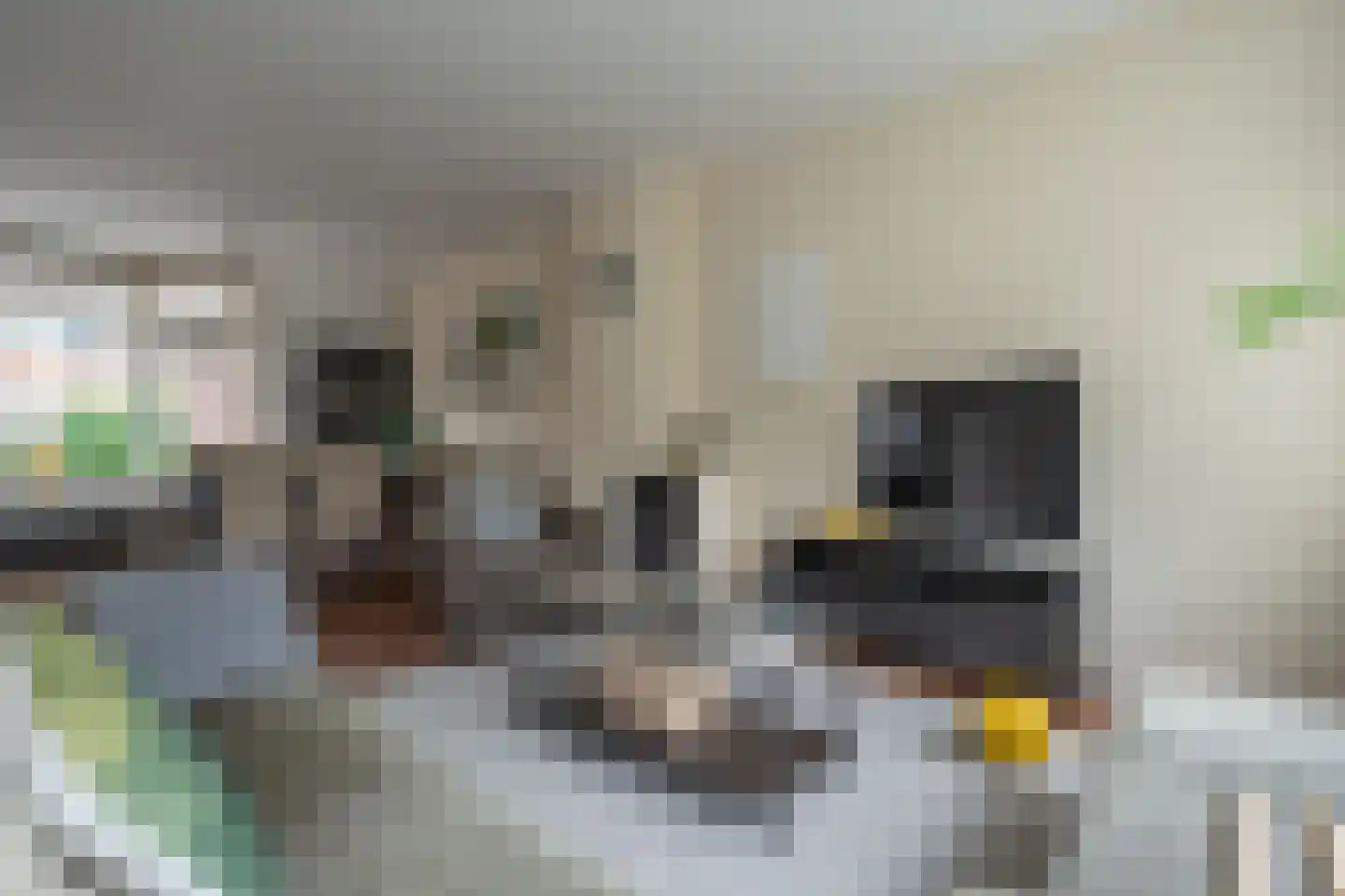 Populierenlaan 66 Groningen thumbnail 7